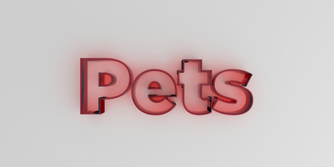 Pets - Red glass text on white background - 3D rendered royalty free stock image.