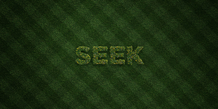 SEEK - fresh Grass letters with flowers and dandelions - 3D rendered royalty free stock image. Can be used for online banner ads and direct mailers..