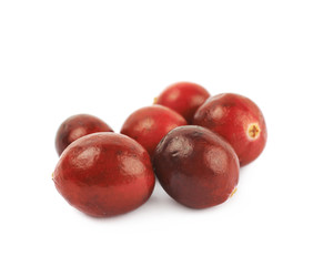 Pile of red cranberries isolated