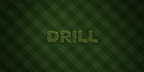 DRILL - fresh Grass letters with flowers and dandelions - 3D rendered royalty free stock image. Can be used for online banner ads and direct mailers..