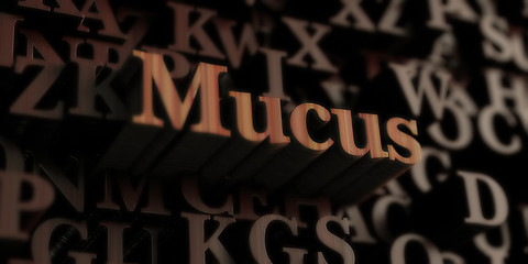 mucus - Wooden 3D rendered letters/message.  Can be used for an online banner ad or a print postcard.