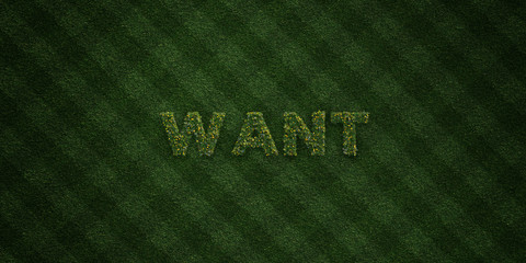 WANT - fresh Grass letters with flowers and dandelions - 3D rendered royalty free stock image. Can be used for online banner ads and direct mailers..