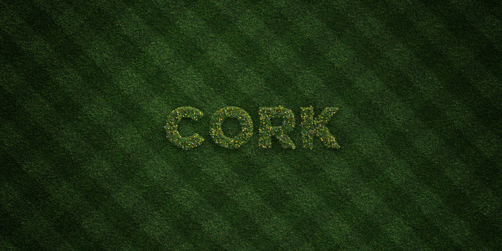 CORK - fresh Grass letters with flowers and dandelions - 3D rendered royalty free stock image. Can be used for online banner ads and direct mailers..