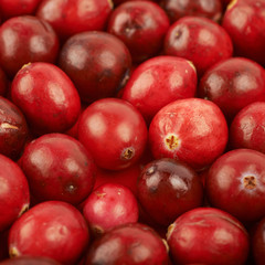 Surface coated with the cranberries