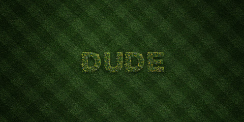 Fototapeta na wymiar DUDE - fresh Grass letters with flowers and dandelions - 3D rendered royalty free stock image. Can be used for online banner ads and direct mailers..