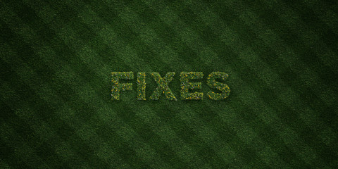 FIXES - fresh Grass letters with flowers and dandelions - 3D rendered royalty free stock image. Can be used for online banner ads and direct mailers..