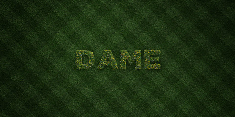 DAME - fresh Grass letters with flowers and dandelions - 3D rendered royalty free stock image. Can be used for online banner ads and direct mailers..