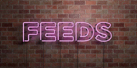 Obraz premium FEEDS - fluorescent Neon tube Sign on brickwork - Front view - 3D rendered royalty free stock picture. Can be used for online banner ads and direct mailers..