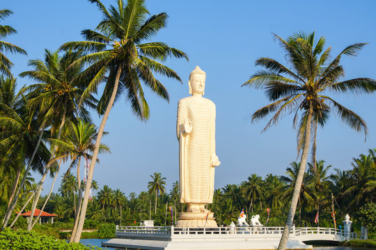 Buddha Statue at Tsunami Honganji Viharaya