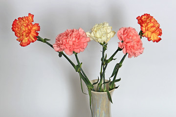 bouquet of colorful carnations