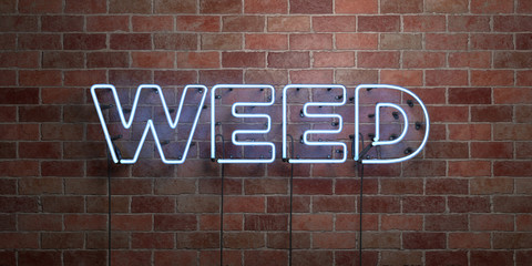 WEED - fluorescent Neon tube Sign on brickwork - Front view - 3D rendered royalty free stock picture. Can be used for online banner ads and direct mailers..