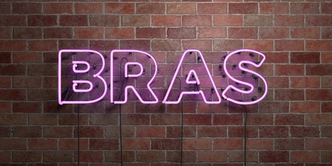 BRAS - fluorescent Neon tube Sign on brickwork - Front view - 3D rendered royalty free stock picture. Can be used for online banner ads and direct mailers..