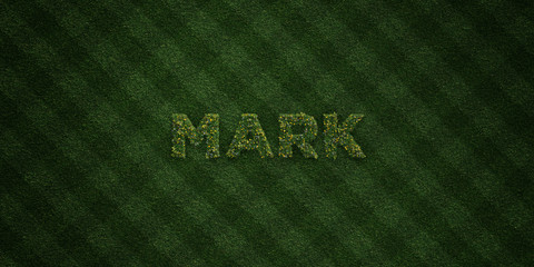 MARK - fresh Grass letters with flowers and dandelions - 3D rendered royalty free stock image. Can be used for online banner ads and direct mailers..