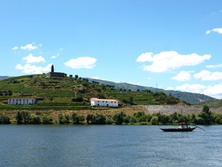 vineyard along Douro river in Portugal ポルトガルのドウロ川沿いの丘の葡萄畑とワイナリーの銅像