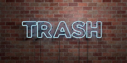 TRASH - fluorescent Neon tube Sign on brickwork - Front view - 3D rendered royalty free stock picture. Can be used for online banner ads and direct mailers..