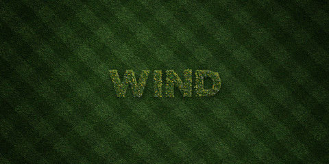 WIND - fresh Grass letters with flowers and dandelions - 3D rendered royalty free stock image. Can be used for online banner ads and direct mailers..