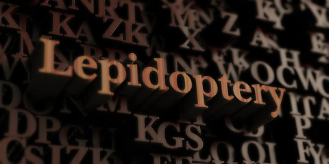 Obraz premium lepidoptery - Wooden 3D rendered letters/message. Can be used for an online banner ad or a print postcard.