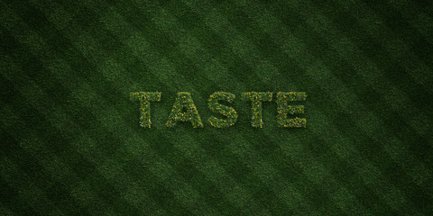 TASTE - fresh Grass letters with flowers and dandelions - 3D rendered royalty free stock image. Can be used for online banner ads and direct mailers..