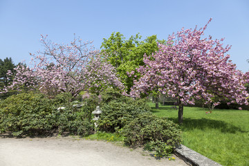 Japanischer Garten Düsseldorf