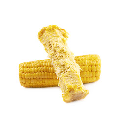 Composition of two corncobs