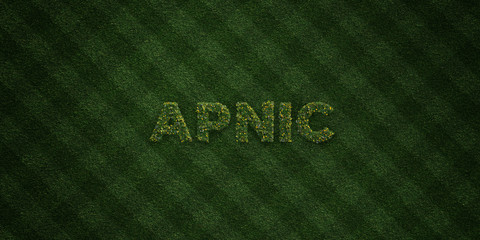 APNIC - fresh Grass letters with flowers and dandelions - 3D rendered royalty free stock image. Can be used for online banner ads and direct mailers..