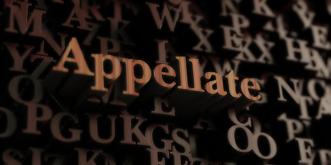 Appellate - Wooden 3D rendered letters/message.  Can be used for an online banner ad or a print postcard.