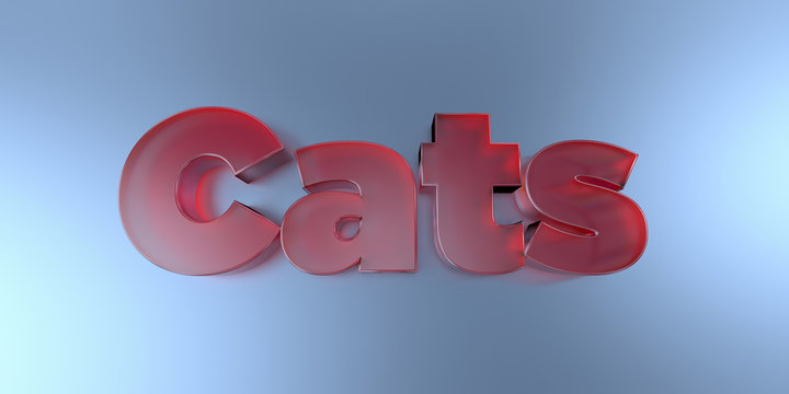 Cats - colorful glass text on vibrant background - 3D rendered royalty free stock image.