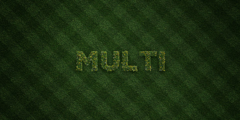 MULTI - fresh Grass letters with flowers and dandelions - 3D rendered royalty free stock image. Can be used for online banner ads and direct mailers..