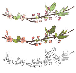 Set with three branches of cherry blossom. Little pink flowers on white background. Vector design elements.