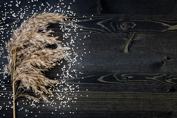 white sesame seeds in dark background