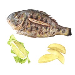 Grilled gilthead with lemon and potatoes. Isolated. Watercolor painting on white background.