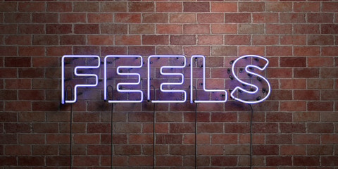 FEELS - fluorescent Neon tube Sign on brickwork - Front view - 3D rendered royalty free stock picture. Can be used for online banner ads and direct mailers..