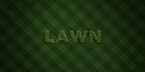 LAWN - fresh Grass letters with flowers and dandelions - 3D rendered royalty free stock image. Can be used for online banner ads and direct mailers..
