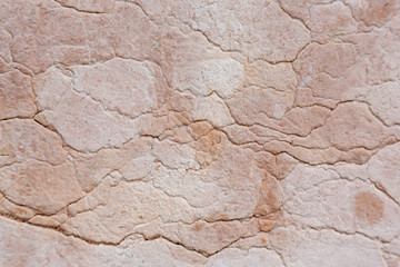 Fototapeta premium background with stone texture