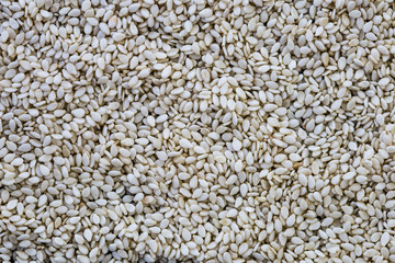 white sesame seeds texture