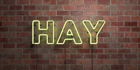 HAY - fluorescent Neon tube Sign on brickwork - Front view - 3D rendered royalty free stock picture. Can be used for online banner ads and direct mailers..