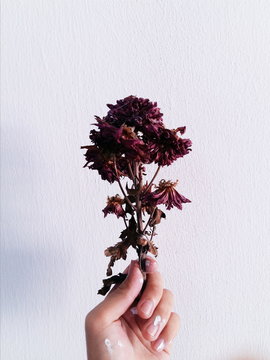 Processed with VSCO with s3 preset