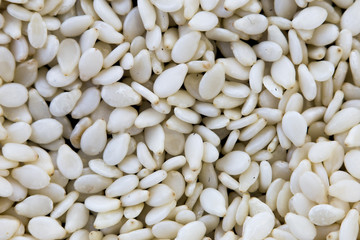 white sesame seeds texture