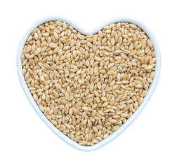 Wheat grain in heart shaped porcelain dish isolated on white background