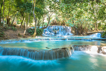 Waterfall in forest, names " Tat Kuang Si Waterfalls