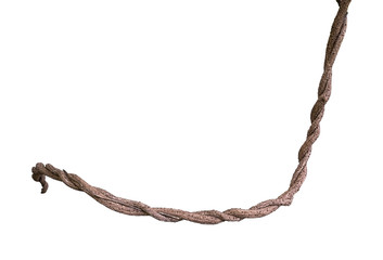 Twisted wild vine isolated on white background, clipping path included