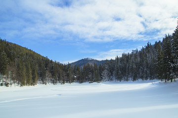 Fototapeta na wymiar Mount Forest Beautiful winter panorama. Carpathian mountains 