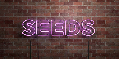 SEEDS - fluorescent Neon tube Sign on brickwork - Front view - 3D rendered royalty free stock picture. Can be used for online banner ads and direct mailers..