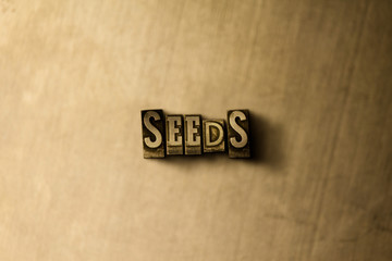 SEEDS - close-up of grungy vintage typeset word on metal backdrop. Royalty free stock illustration.  Can be used for online banner ads and direct mail.