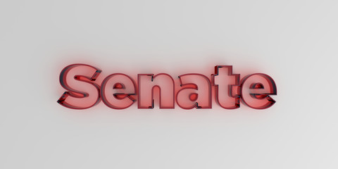 Senate - Red glass text on white background - 3D rendered royalty free stock image.