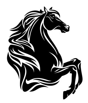 beautiful black horse vector outline