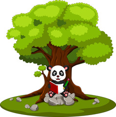 Obraz na płótnie Canvas panda reading book and sitting on the stone