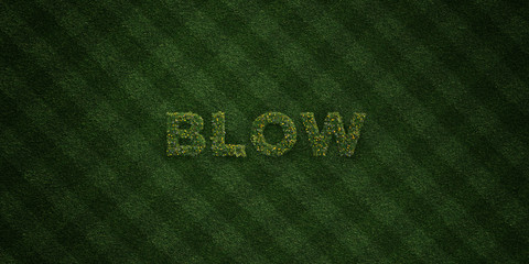 BLOW - fresh Grass letters with flowers and dandelions - 3D rendered royalty free stock image. Can be used for online banner ads and direct mailers..