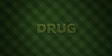 DRUG - fresh Grass letters with flowers and dandelions - 3D rendered royalty free stock image. Can be used for online banner ads and direct mailers..