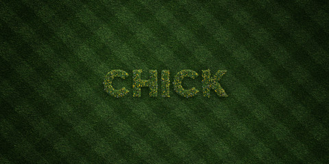CHICK - fresh Grass letters with flowers and dandelions - 3D rendered royalty free stock image. Can be used for online banner ads and direct mailers..